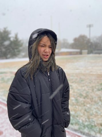 Photo of Quynh Vo