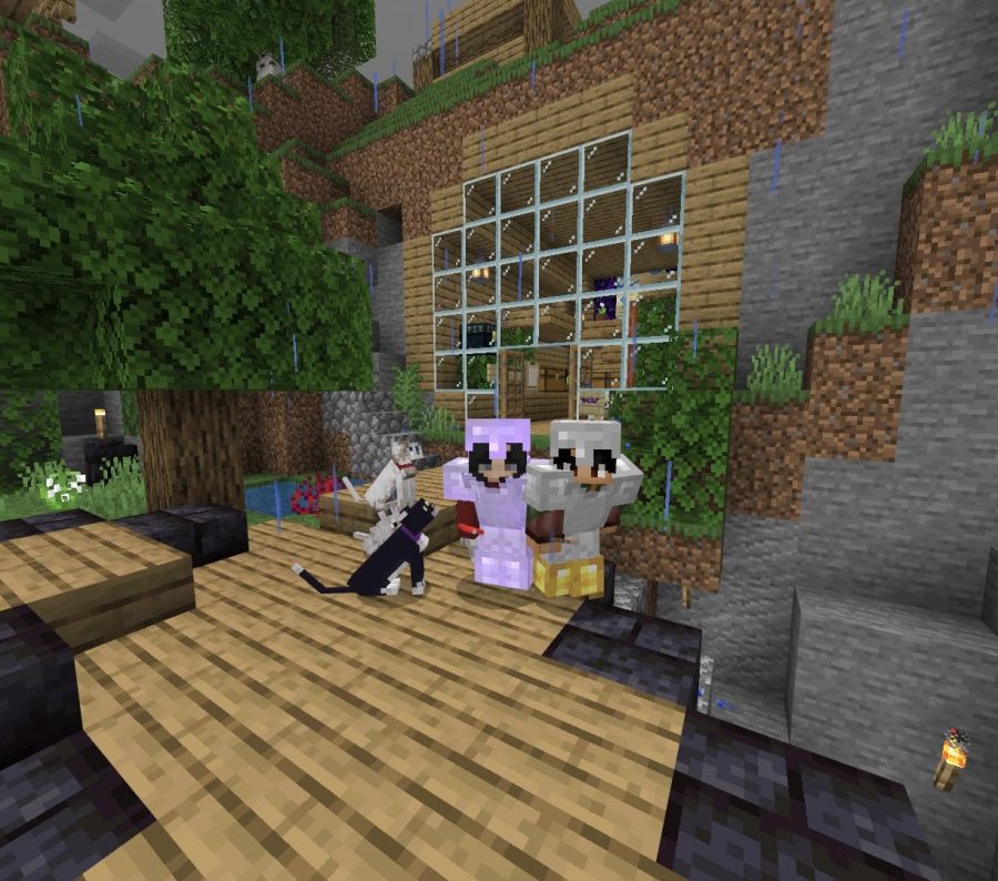 Sammy+Morton+and+Easton+Rawley+show+off+their+pets+in+Minecraft.
