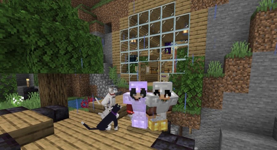 Sammy+Morton+and+Easton+Rawley+show+off+their+pets+in+Minecraft.