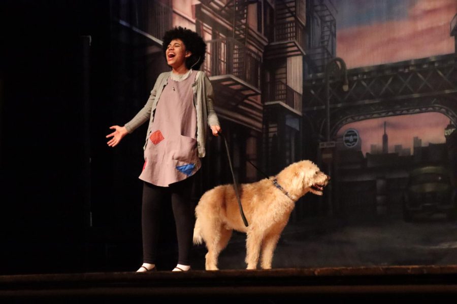 Brentwoods Keira Howard crushed it in her starring role as Annie with co-star Sandy, played by Kevin the Dog.