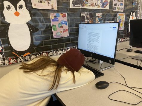 Junior Emelda Forney sleeps in front of a computer.