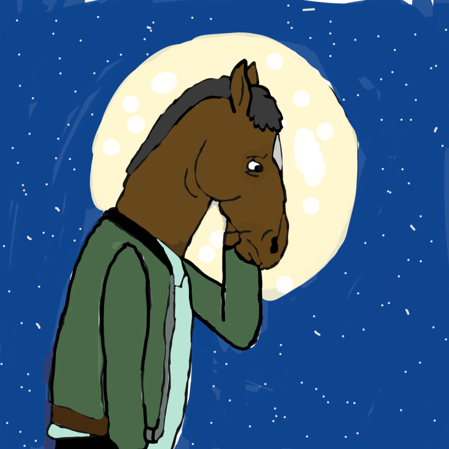 Bojack Horseman from television show Bojack Horseman 