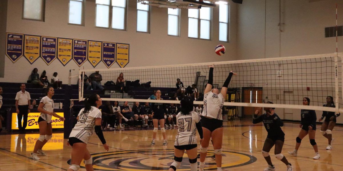 Spiking success: Brentwood volleyball takes off
